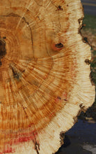 Load image into Gallery viewer, Box Elder Cookie
