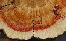 Load image into Gallery viewer, Box Elder Cookie
