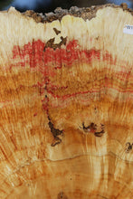 Load image into Gallery viewer, Box Elder Cookie
