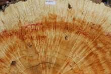 Load image into Gallery viewer, Box Elder Cookie
