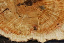 Load image into Gallery viewer, Box Elder Cookie
