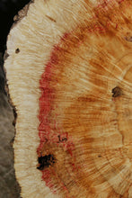 Load image into Gallery viewer, Box Elder Cookie
