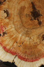 Load image into Gallery viewer, Box Elder Cookie
