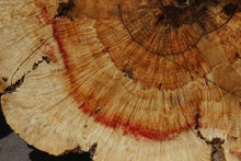 Load image into Gallery viewer, Box Elder Cookie
