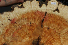 Load image into Gallery viewer, Box Elder Cookie
