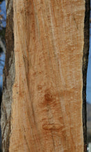 Load image into Gallery viewer, Figured Maple Slab
