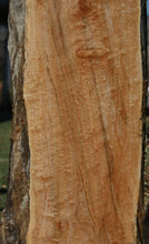 Load image into Gallery viewer, Figured Maple Slab
