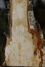 Load image into Gallery viewer, Masur Birch Live Edge Lumber
