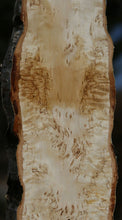 Load image into Gallery viewer, Masur Birch Live Edge Lumber
