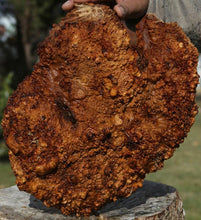 Load image into Gallery viewer, Red Mallee Burl Cap
