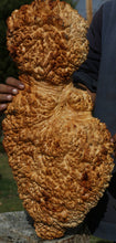 Load image into Gallery viewer, Red Mallee Burl Cap
