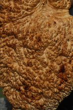 Load image into Gallery viewer, Red Mallee Burl Cap
