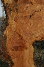 Load image into Gallery viewer, Spalted Maple Burl Slab
