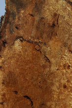 Load image into Gallery viewer, Spalted Maple Burl Slab
