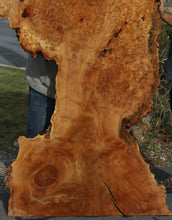 Load image into Gallery viewer, Spalted Maple Burl Slab
