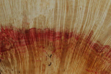Load image into Gallery viewer, Box Elder Cookie
