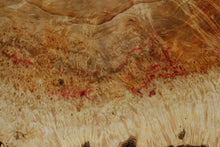 Load image into Gallery viewer, Box Elder Cookie
