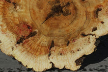 Load image into Gallery viewer, Box Elder Cookie

