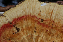 Load image into Gallery viewer, Box Elder Cookie
