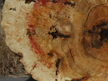 Load image into Gallery viewer, Box Elder Cookie
