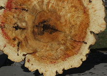 Load image into Gallery viewer, Box Elder Cookie
