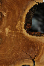 Load image into Gallery viewer, Fiddleback Italian Olive Half Cookie
