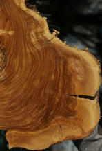 Load image into Gallery viewer, Rustic Italian Olive Half Cookie
