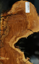 Load image into Gallery viewer, Rustic Italian Olive Half Cookie
