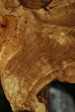 Load image into Gallery viewer, Rustic Italian Olive Half Cookie
