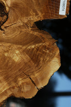 Load image into Gallery viewer, Rustic Italian Olive Half Cookie
