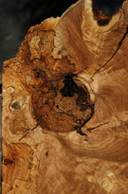 Load image into Gallery viewer, Rustic Italian Olive Half Cookie
