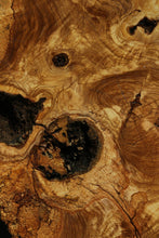 Load image into Gallery viewer, Rustic Italian Olive Half Cookie
