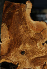 Load image into Gallery viewer, Rustic Italian Olive Half Cookie
