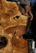 Load image into Gallery viewer, Rustic Italian Olive Half Cookie
