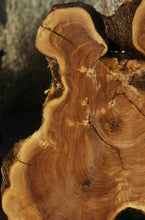 Load image into Gallery viewer, Rustic Italian Olive Cookie
