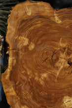 Load image into Gallery viewer, Rustic Italian Olive Cookie
