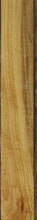 Load image into Gallery viewer, Ceylon Satinwood Lumber
