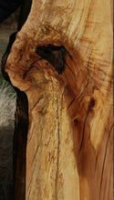 Load image into Gallery viewer, Spalted Natural Rustic Black Oak Mantel
