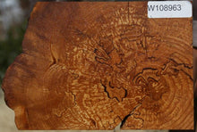 Load image into Gallery viewer, Spalted Alder Mantel

