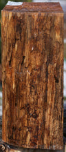 Load image into Gallery viewer, Pacific Yew Rustic Live Edge Bowl Blank

