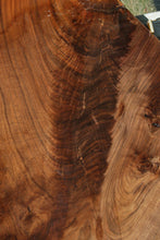 Load image into Gallery viewer, Fiddleback Claro Walnut Slab
