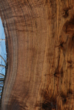 Load image into Gallery viewer, Fiddleback Claro Walnut Slab
