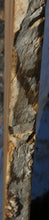 Load image into Gallery viewer, Crotchwood Figured Cottonwood Slab
