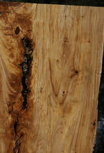 Load image into Gallery viewer, Crotchwood Figured Cottonwood Slab
