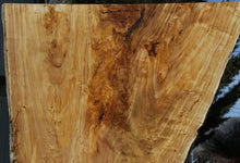 Load image into Gallery viewer, Crotchwood Figured Cottonwood Slab
