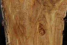 Load image into Gallery viewer, Crotchwood Figured Cottonwood Slab

