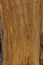 Load image into Gallery viewer, Crotchwood Figured Cottonwood Slab
