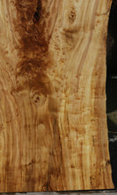 Load image into Gallery viewer, Crotchwood Figured Cottonwood Slab
