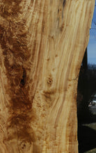 Load image into Gallery viewer, Crotchwood Figured Cottonwood Slab

