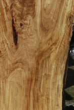 Load image into Gallery viewer, Crotchwood Figured Cottonwood Slab
